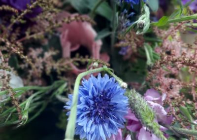 bp pelouses serres noville magasin gazon fleur local flower saison 16 scaled