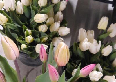 bp pelouses serres noville magasin gazon fleur local flower saison 5 scaled