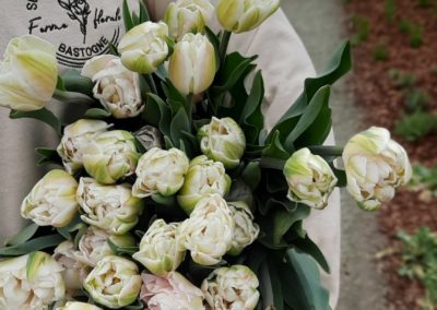 bp pelouses serres noville magasin gazon fleur local flower saison 7 scaled